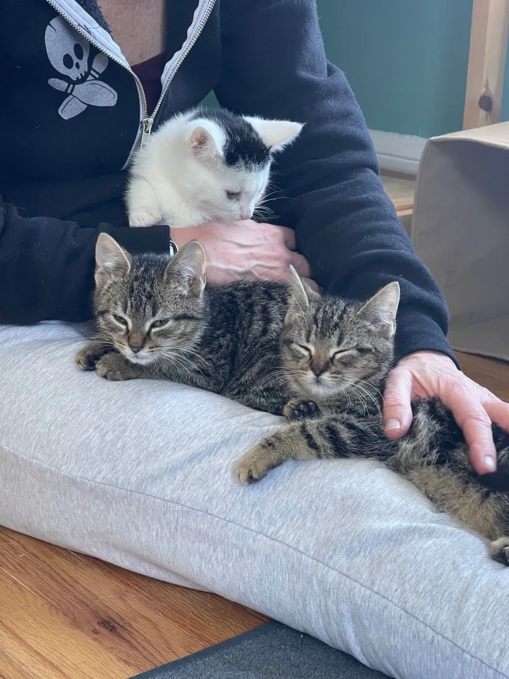 Gamma, Rho, and Zeta - Photo 4