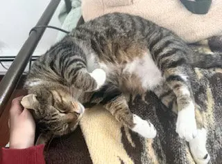 Bullseye thumbnail 3