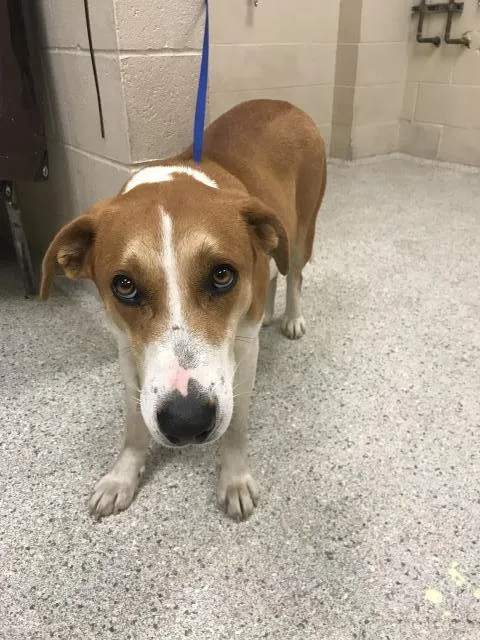 Harley Quinn - Photo 1