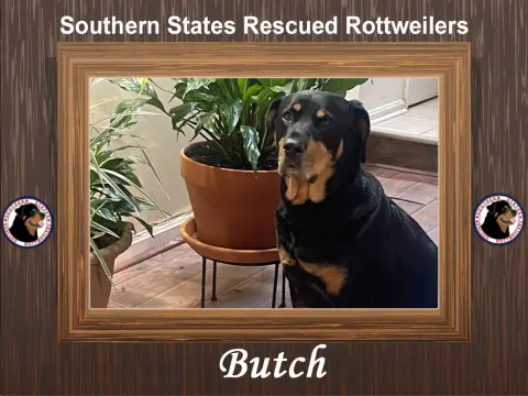 Butch