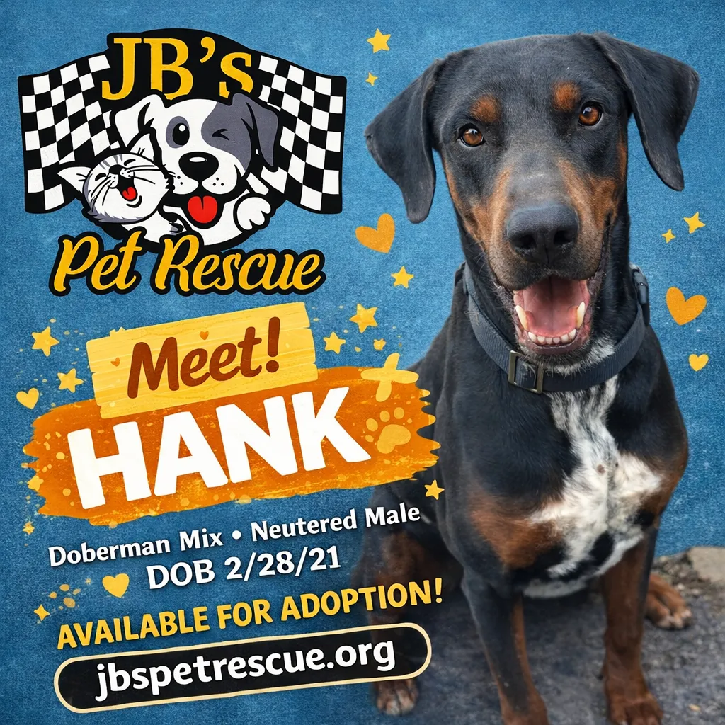 Hank - Photo 3