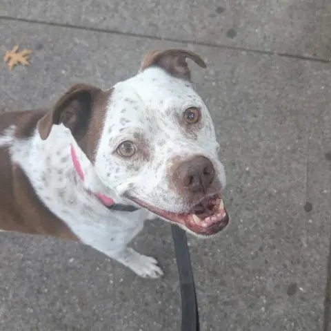 Freckles thumbnail 2