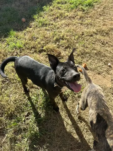 Dottie West thumbnail 1