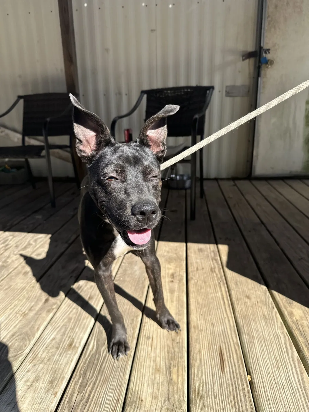 Dottie West - Photo 2