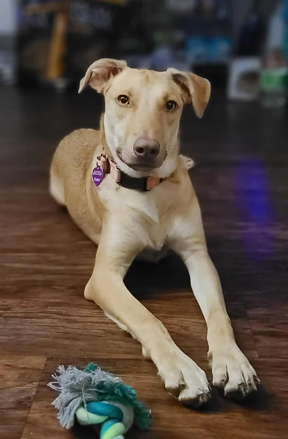 Bubble Gum - Photo 2