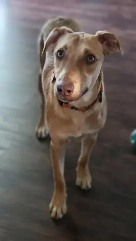 Bubble Gum thumbnail 3