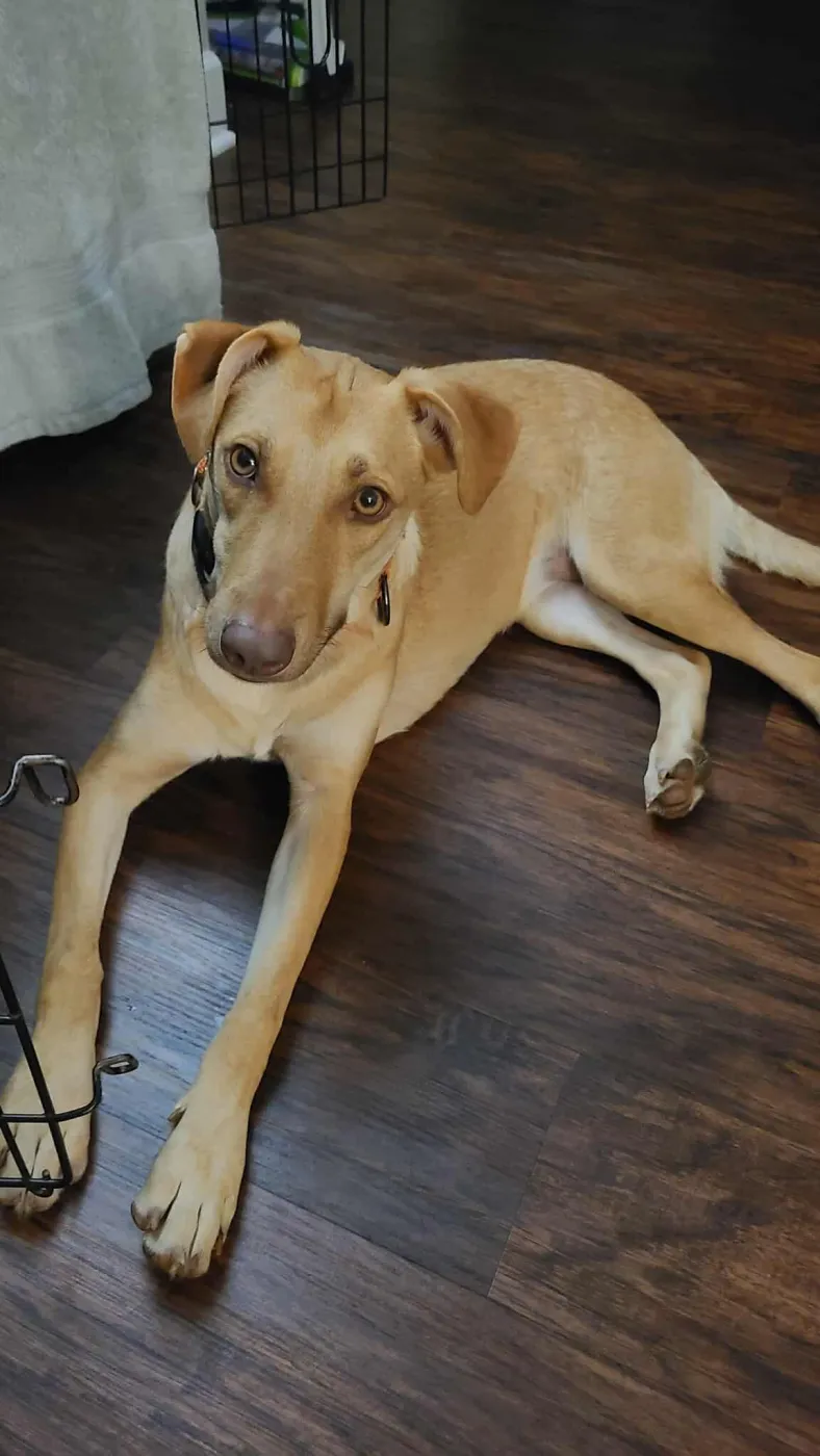 Bubble Gum - Photo 4