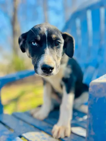 Mercedes thumbnail 1