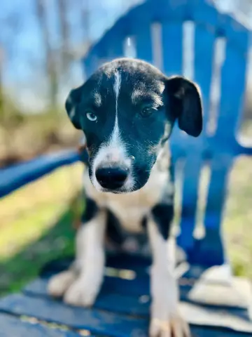 Mercedes thumbnail 2