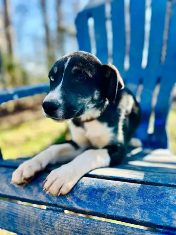 Mercedes thumbnail 3