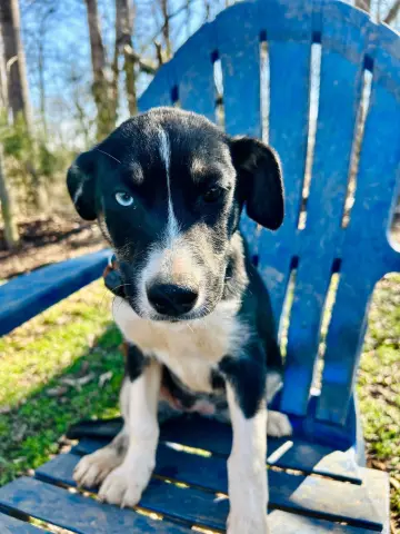 Mercedes thumbnail 4