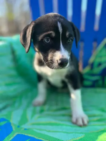 Mercedes thumbnail 5