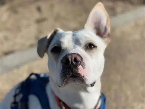 Flip Flop thumbnail 1