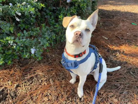 Flip Flop thumbnail 2