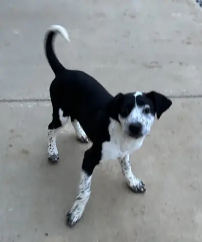 Mary Ann thumbnail 2