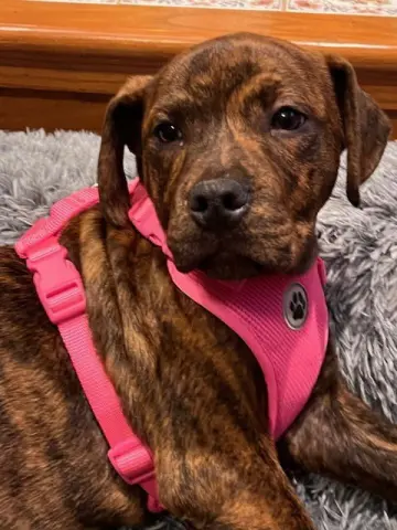 Milkyway thumbnail 2