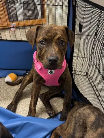 Milkyway thumbnail 3