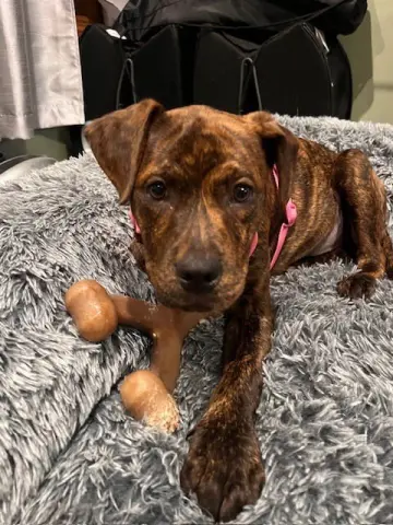 Milkyway thumbnail 4