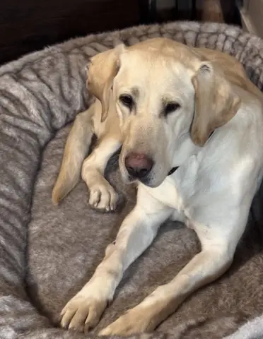 Sparkles thumbnail 2