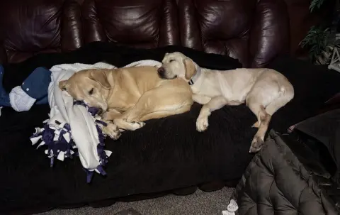 Sparkles thumbnail 4