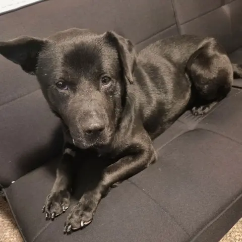 Hat Trick thumbnail 4