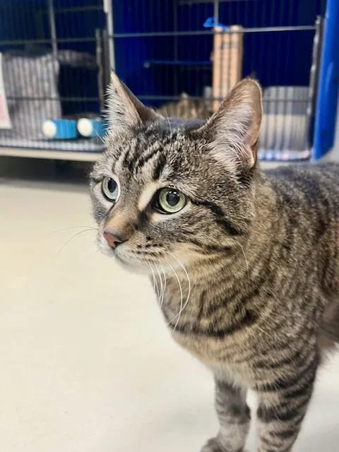 Cayenne & Clover - Photo 1