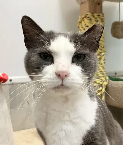 Couscous thumbnail 2