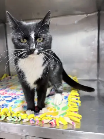 Milky Way thumbnail 3