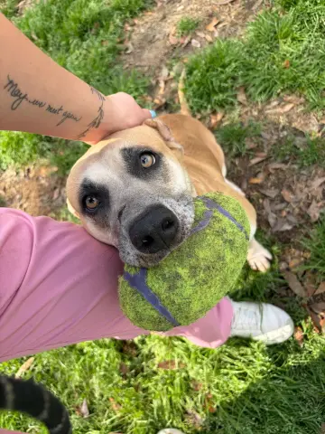 Caroline thumbnail 3