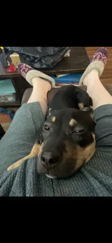 Taco Bella - Photo 1