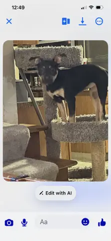 Taco Bella thumbnail 2