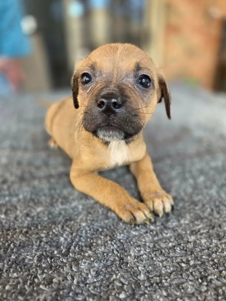 Düsseldorf - Photo 1