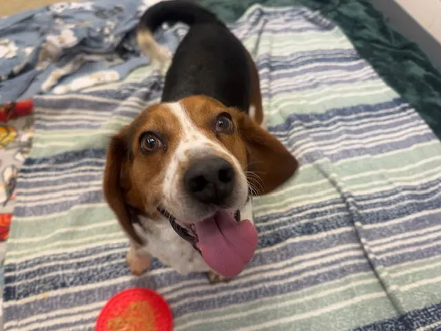 Jasper Lee - Photo 1