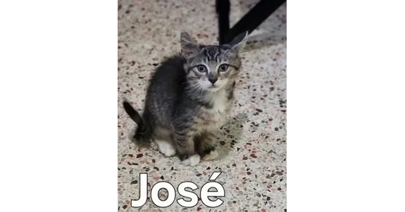Jose - Photo 1