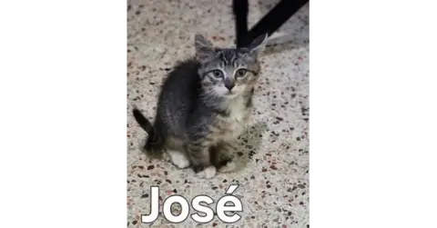 Jose