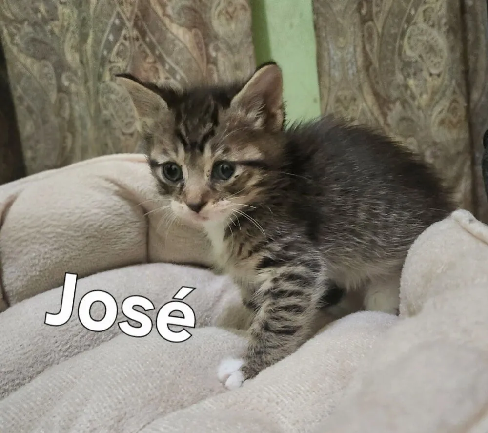Jose - Photo 2