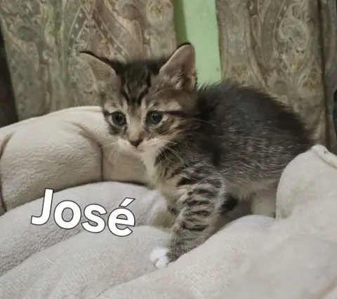 Jose thumbnail 2