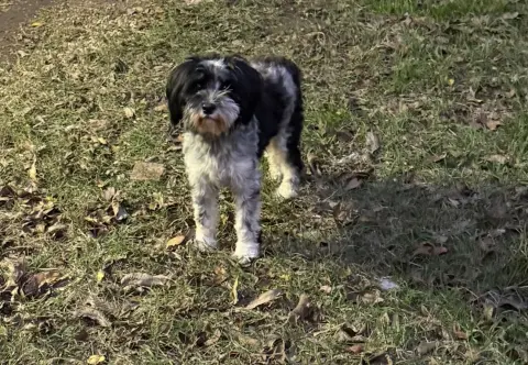 Mercedes thumbnail 2