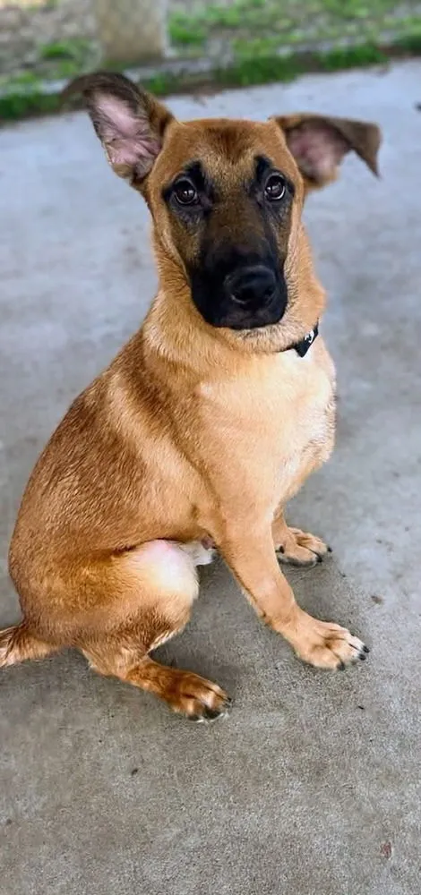 Billy the Kid - Photo 1