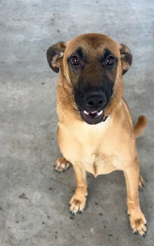 Billy the Kid - Photo 2