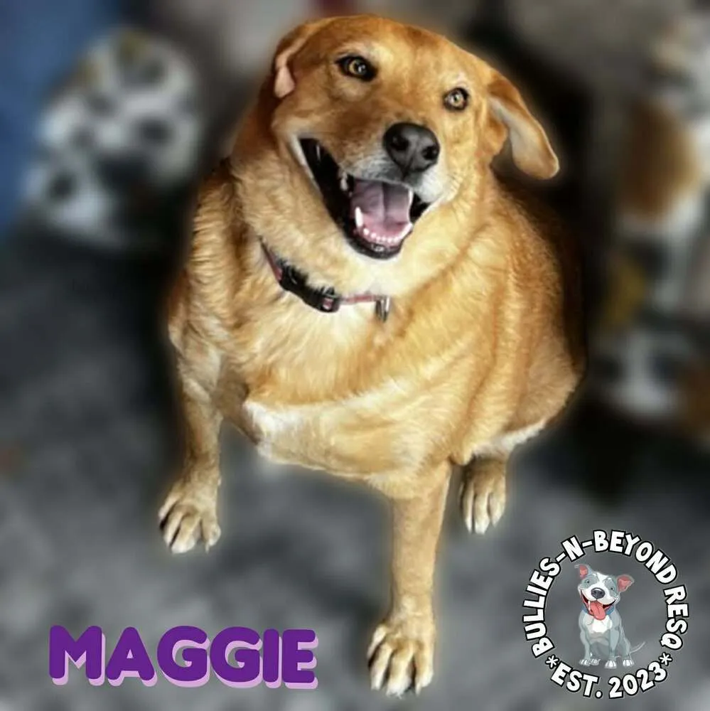 Maggie - Photo 2