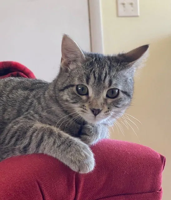 Buster Lee - Photo 1