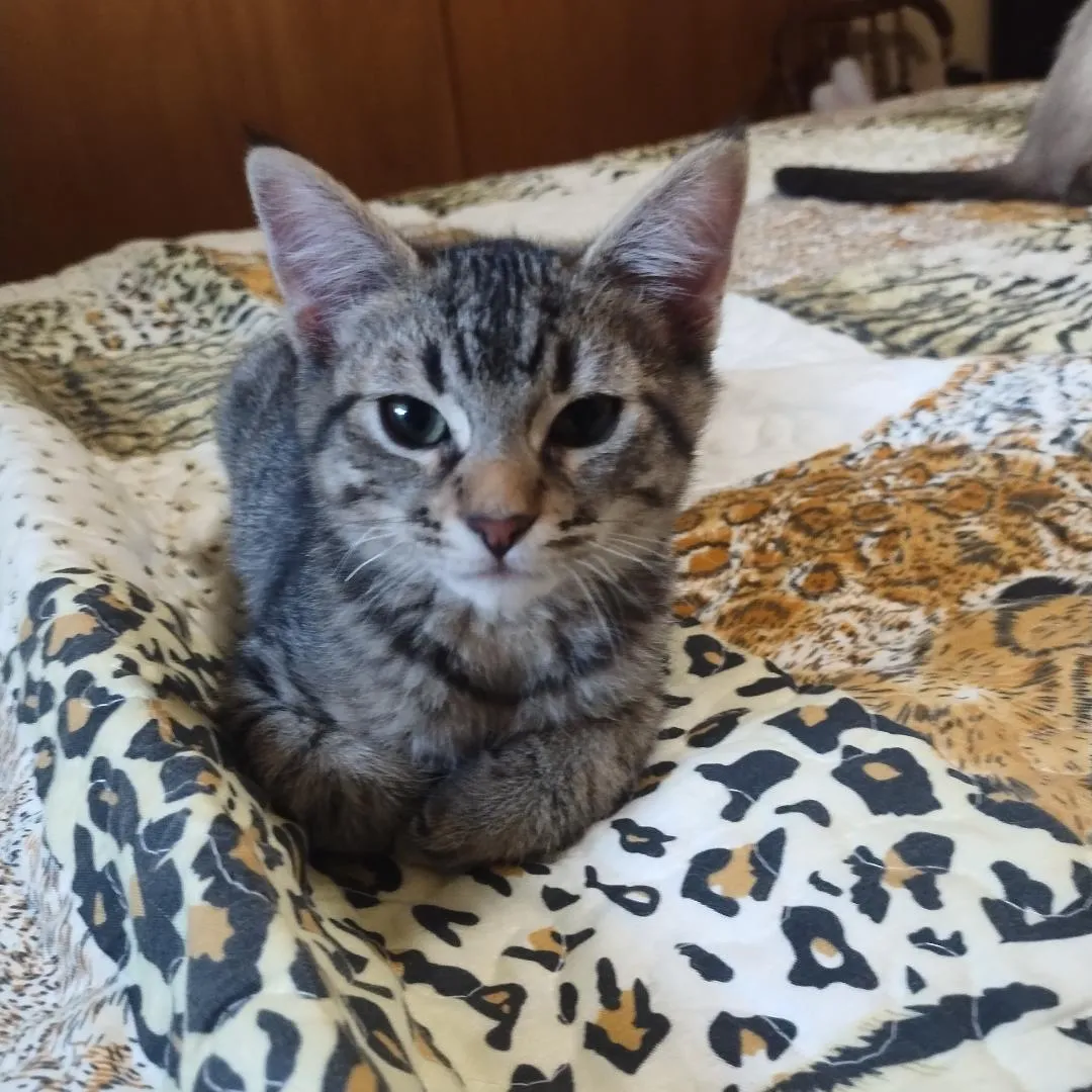 Jiffy Popkorn - Photo 1