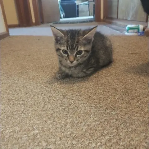 Jiffy Popkorn thumbnail 2