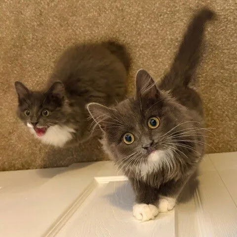 Aunt Rhody - Photo 2