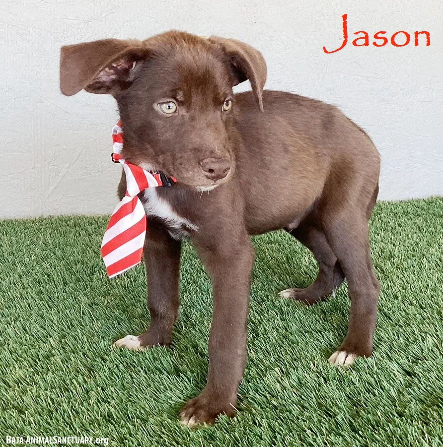Jason - Photo 1