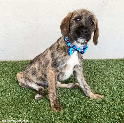 Winifred thumbnail 2