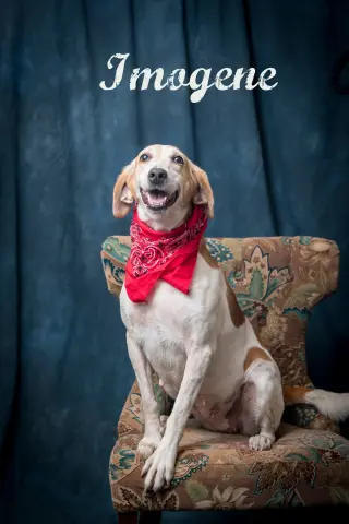 Imogene