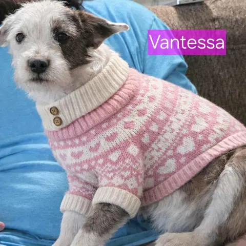 Vantessa