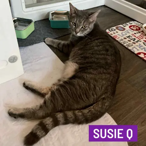 Susie Q